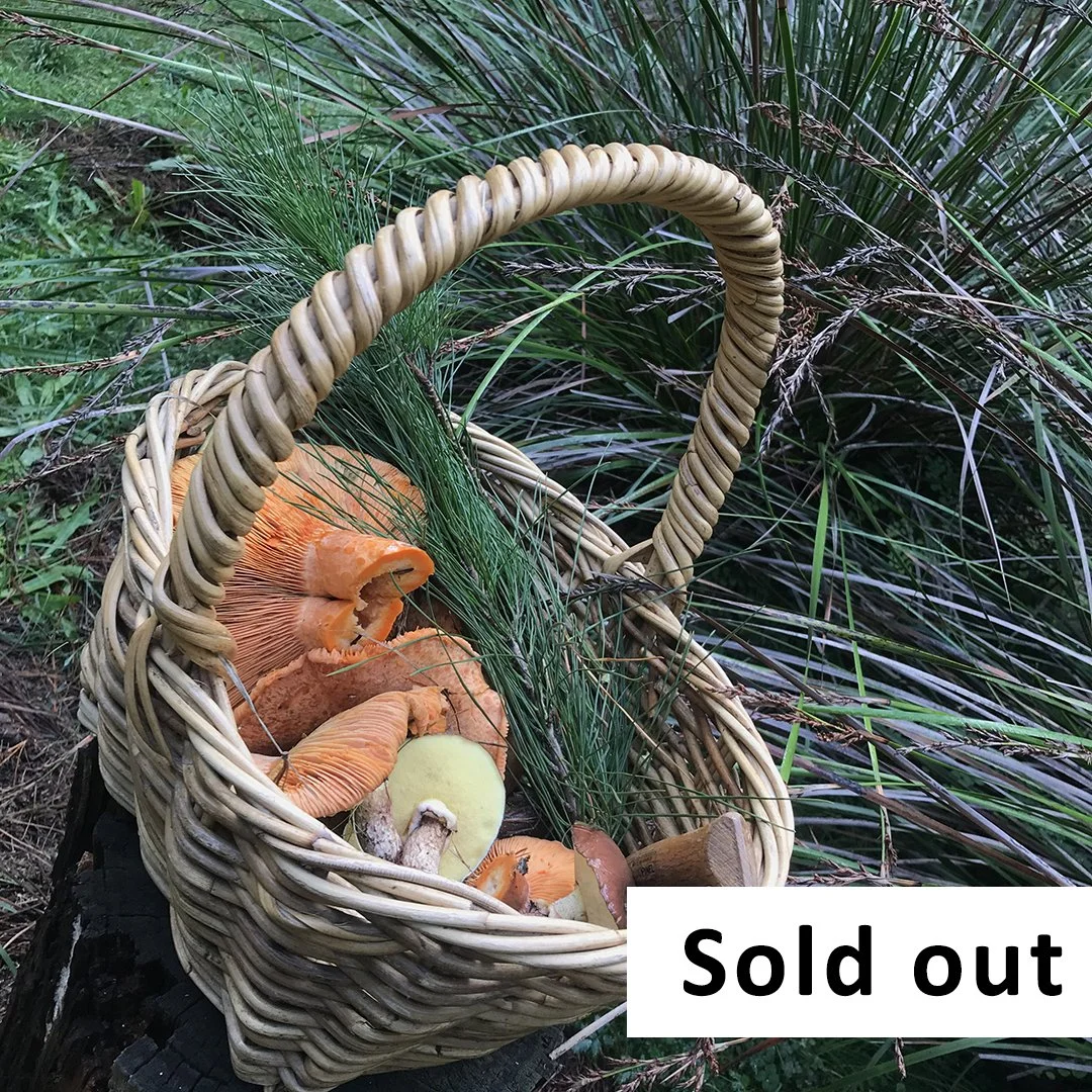 Mushroom Foraging Workshop for beginners - May 24 - Hampton