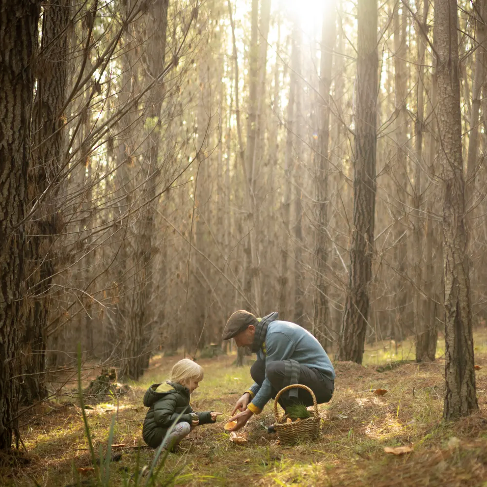 Goodfood-mushroom foraging bonetto nsw workshop.png