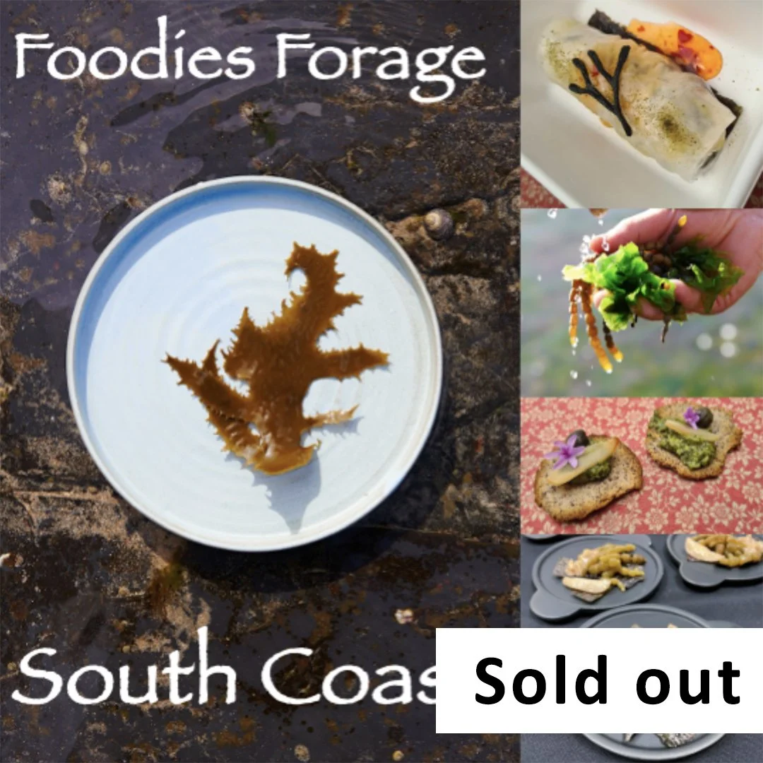 Foodies Forage + Tasting - December 14 South Coast