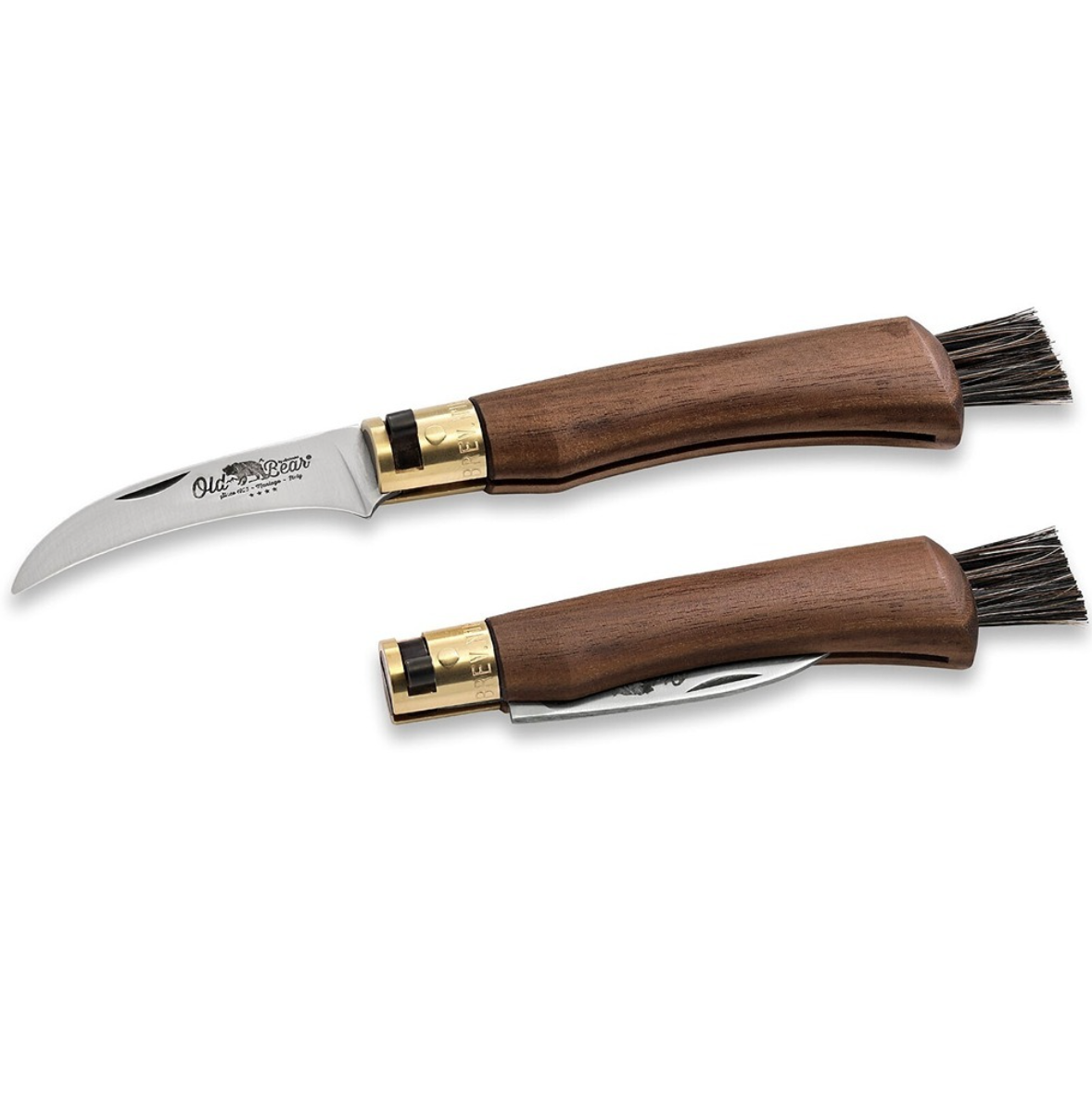 mushroom Foraging knife Antonini buy.png