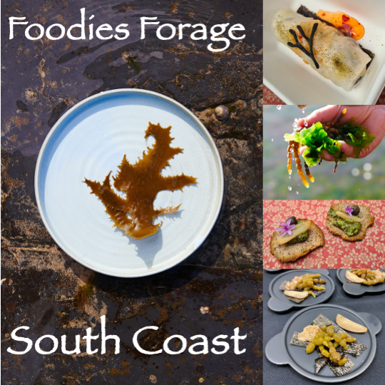 Foodies Forage + Tasting - December 14 South Coast