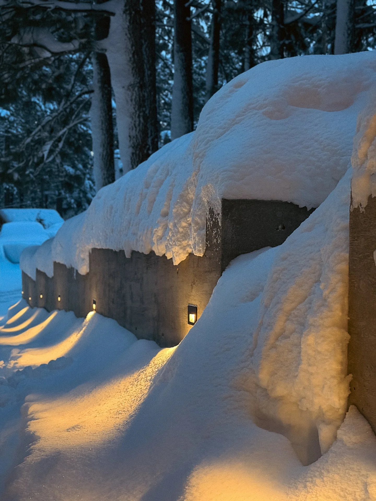 We got a bit buried last week! Went from raking pine needles days before to a few feet at lake level, and next week looks like mid 50s again. Get it while ya can.