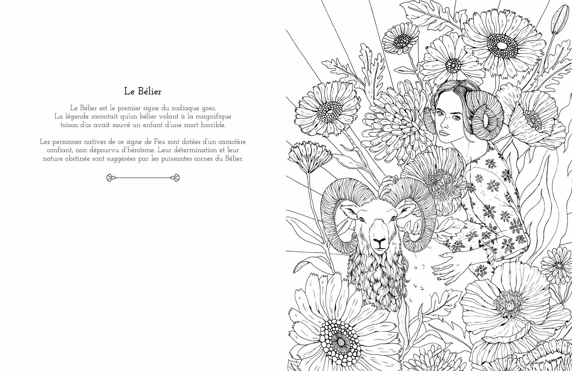 Astrology Colouring — ANAJAREN