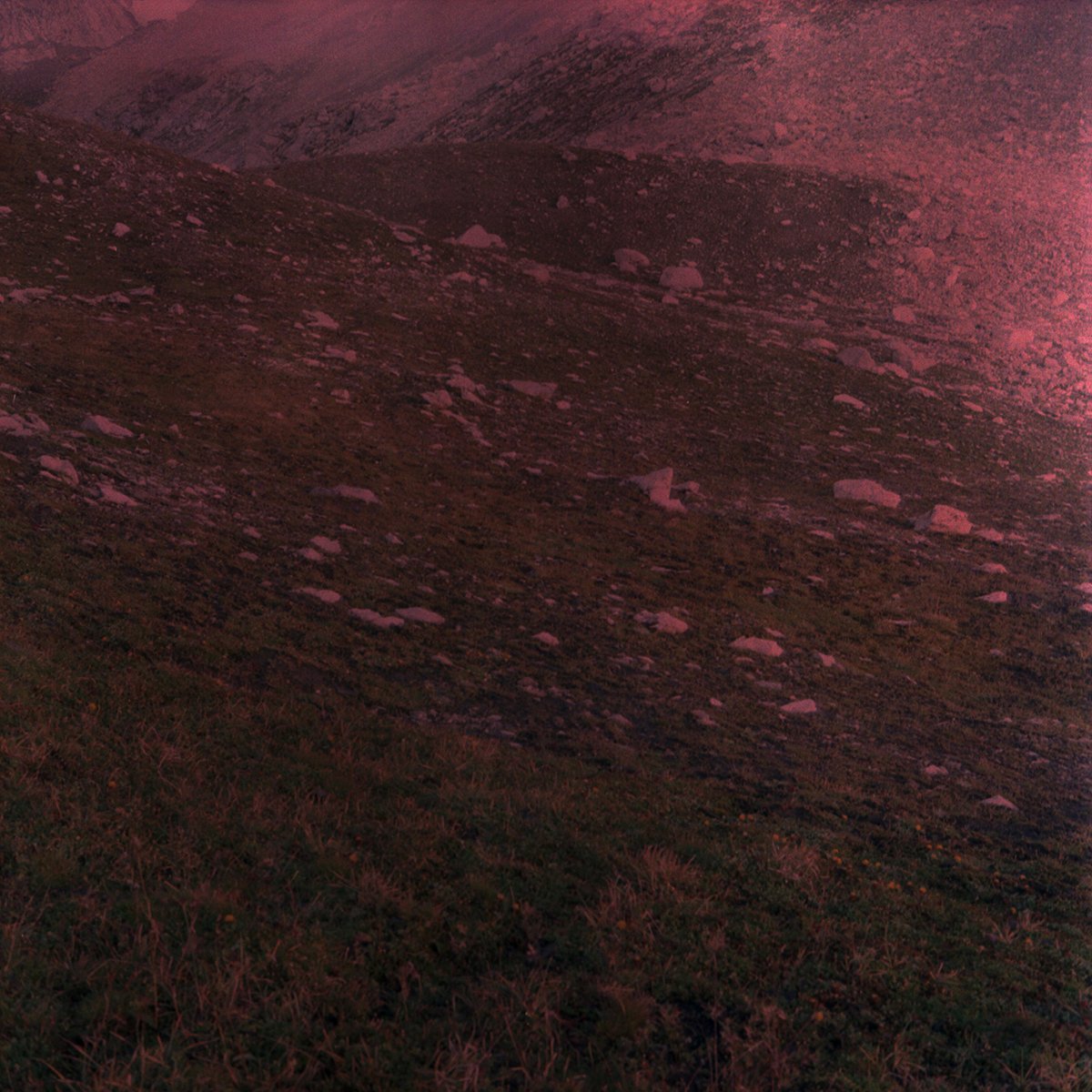 ALBULA_06.jpg