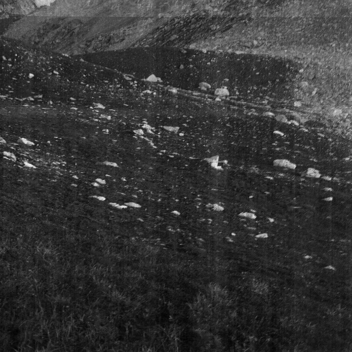 ALBULA_05.jpg