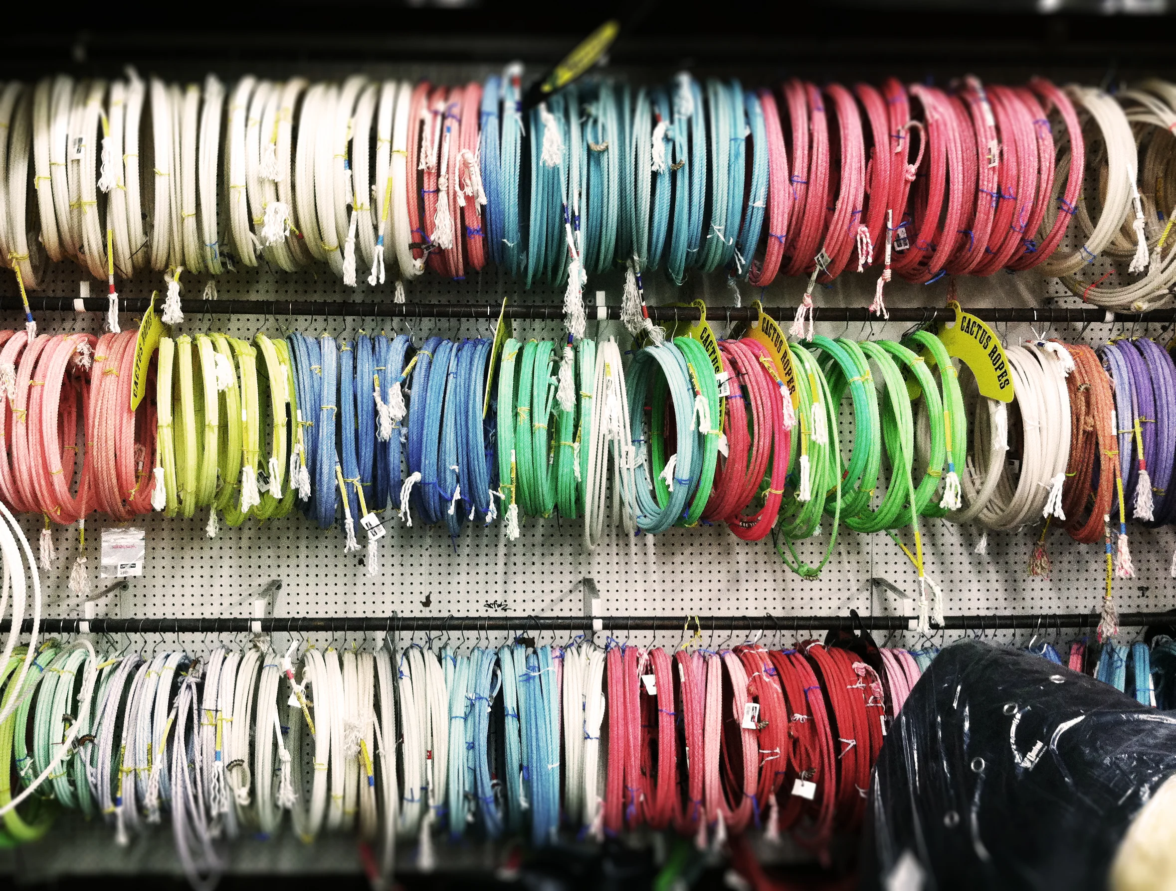 coverphoto2.jpg