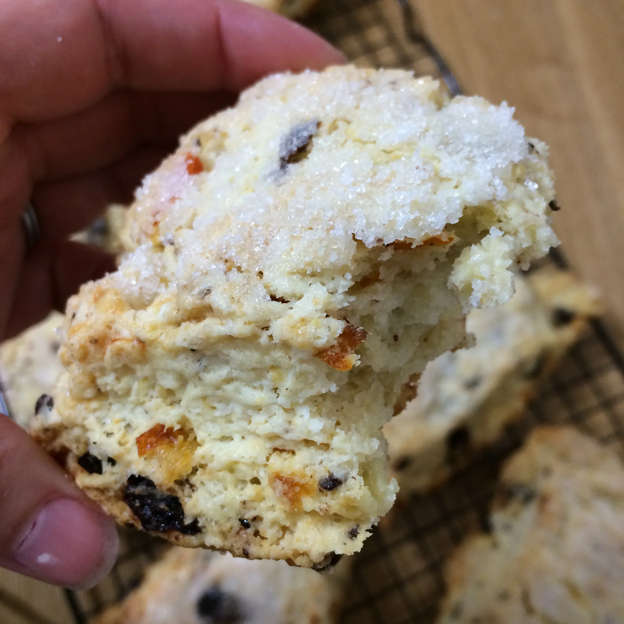 Roasted kumquat, cherry and chocolate scone