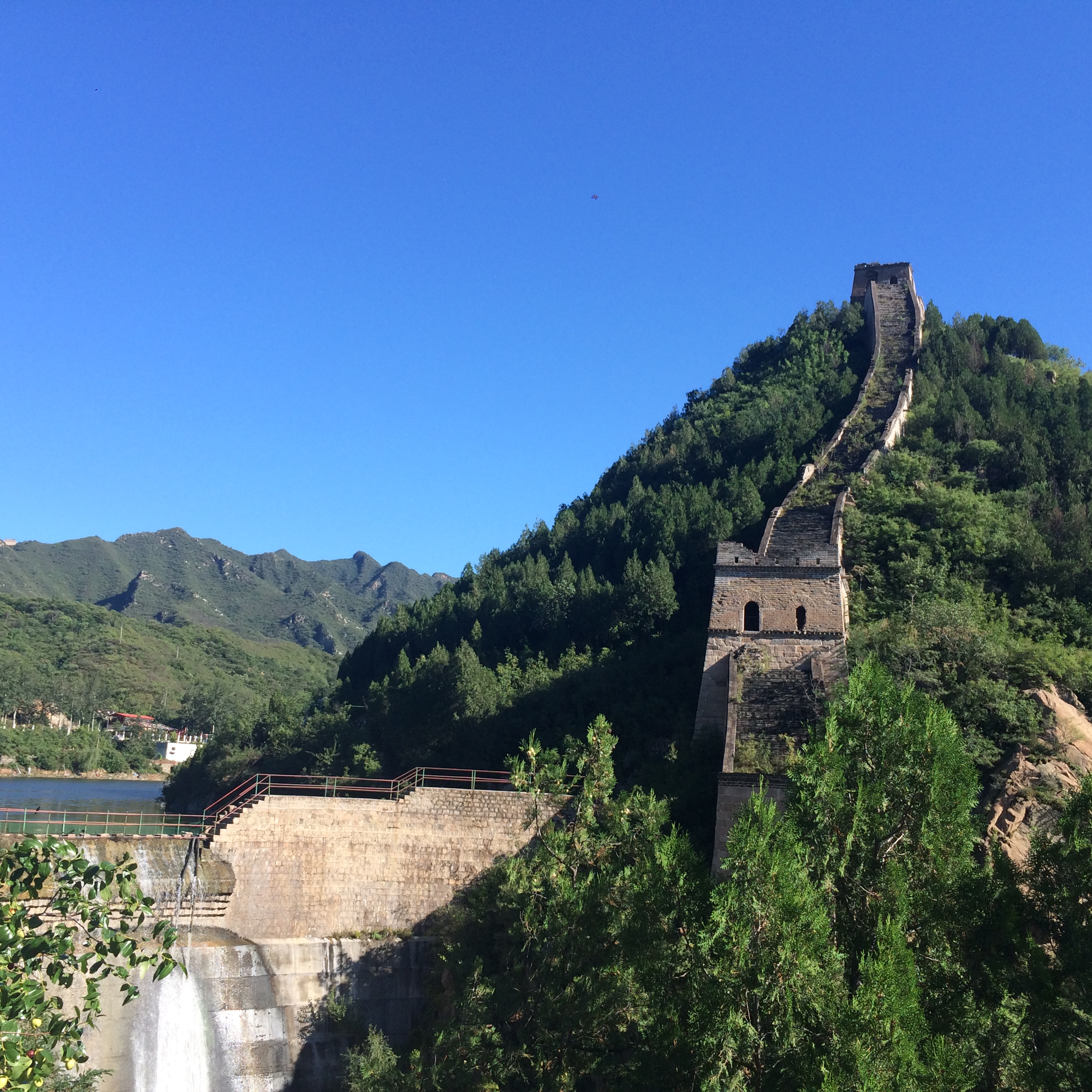 The Great Wall of China, Wild Wall
