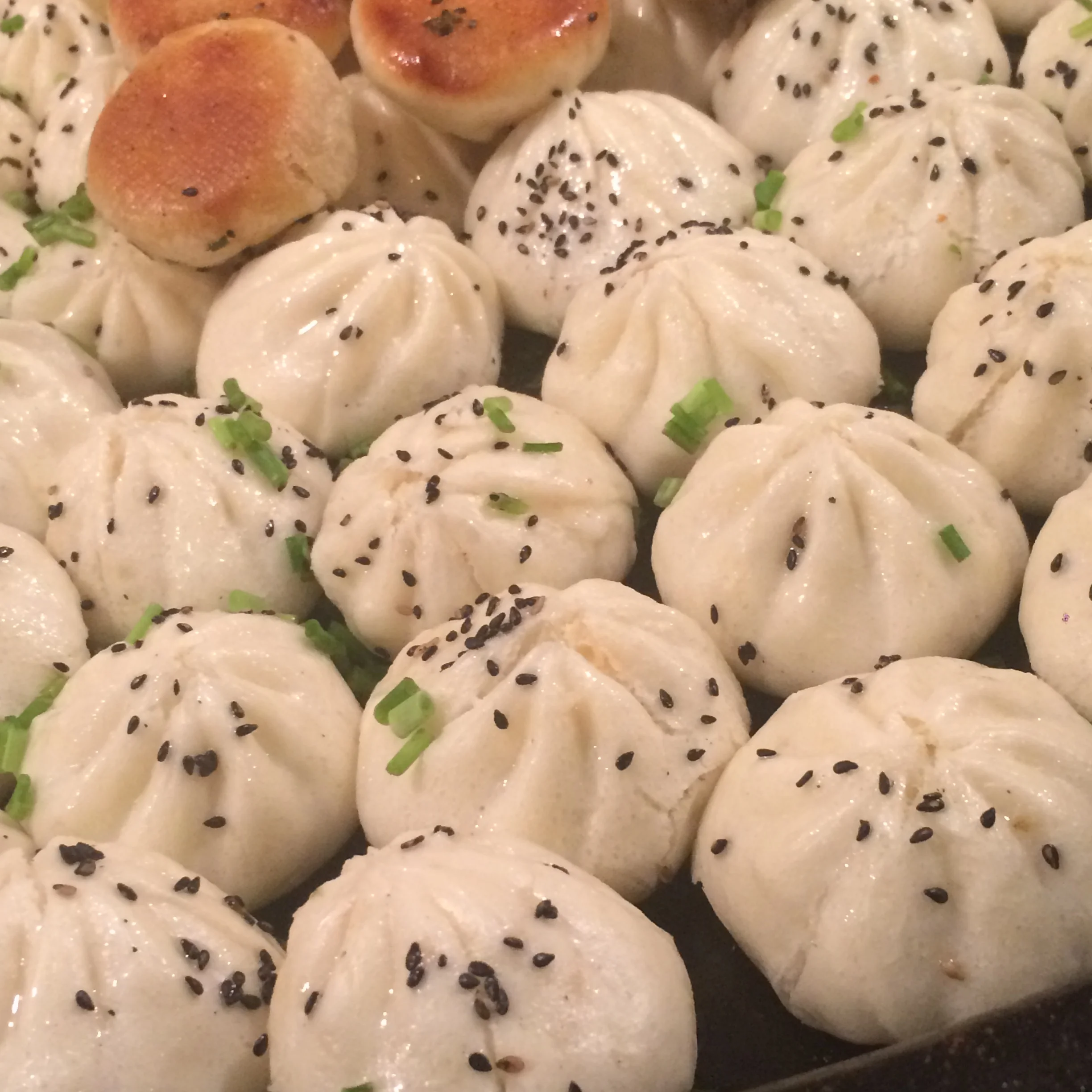 The Bad: Dumplings from Dong An Men Da Jie (Donghuamen Night Market) Beijing