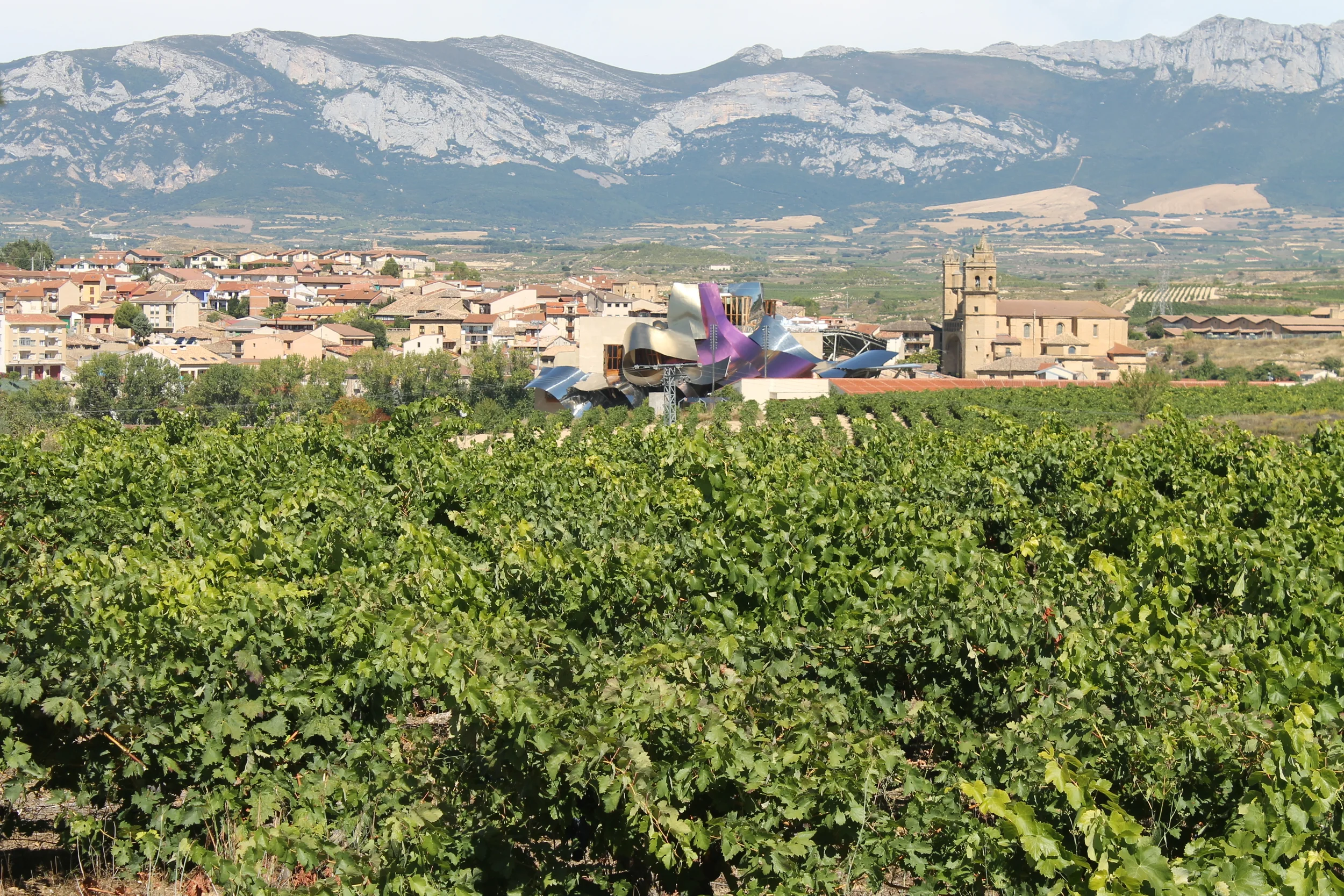 Whole Resolution: Overall Wellness