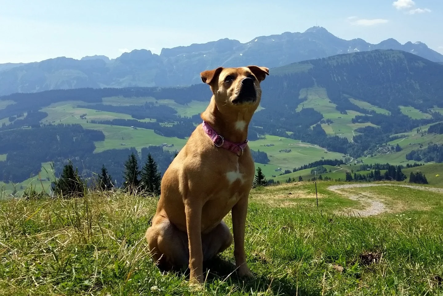 On a hike in Appenzell. This is not our neighborhood park! ;-)