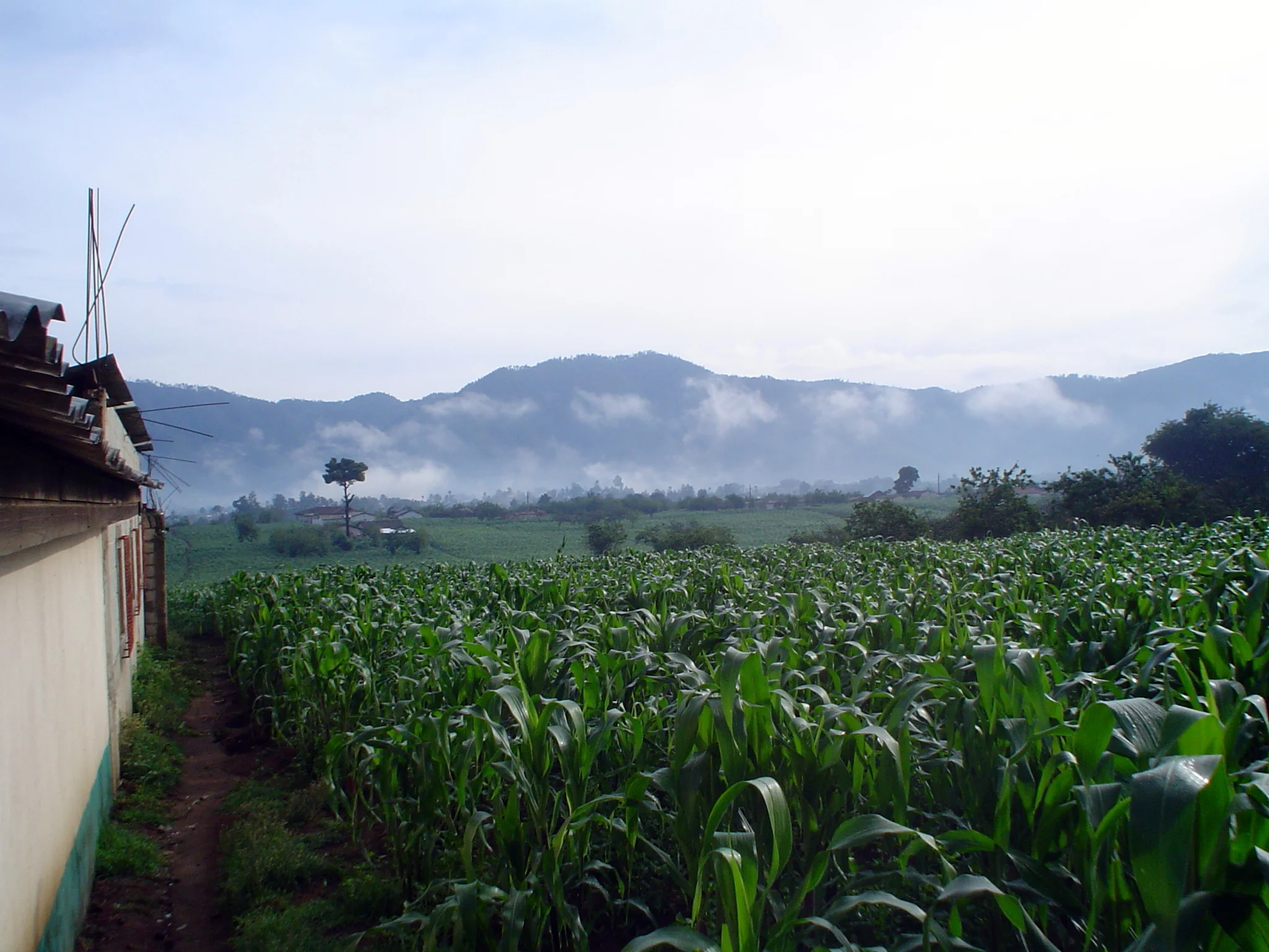 El campo or the countryside outside of village where many focus group interviews took place.
