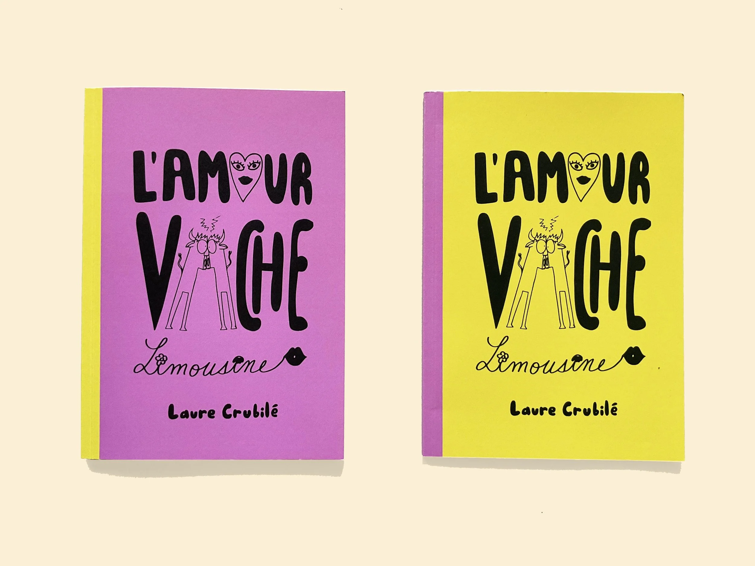 livre_couverture.jpg