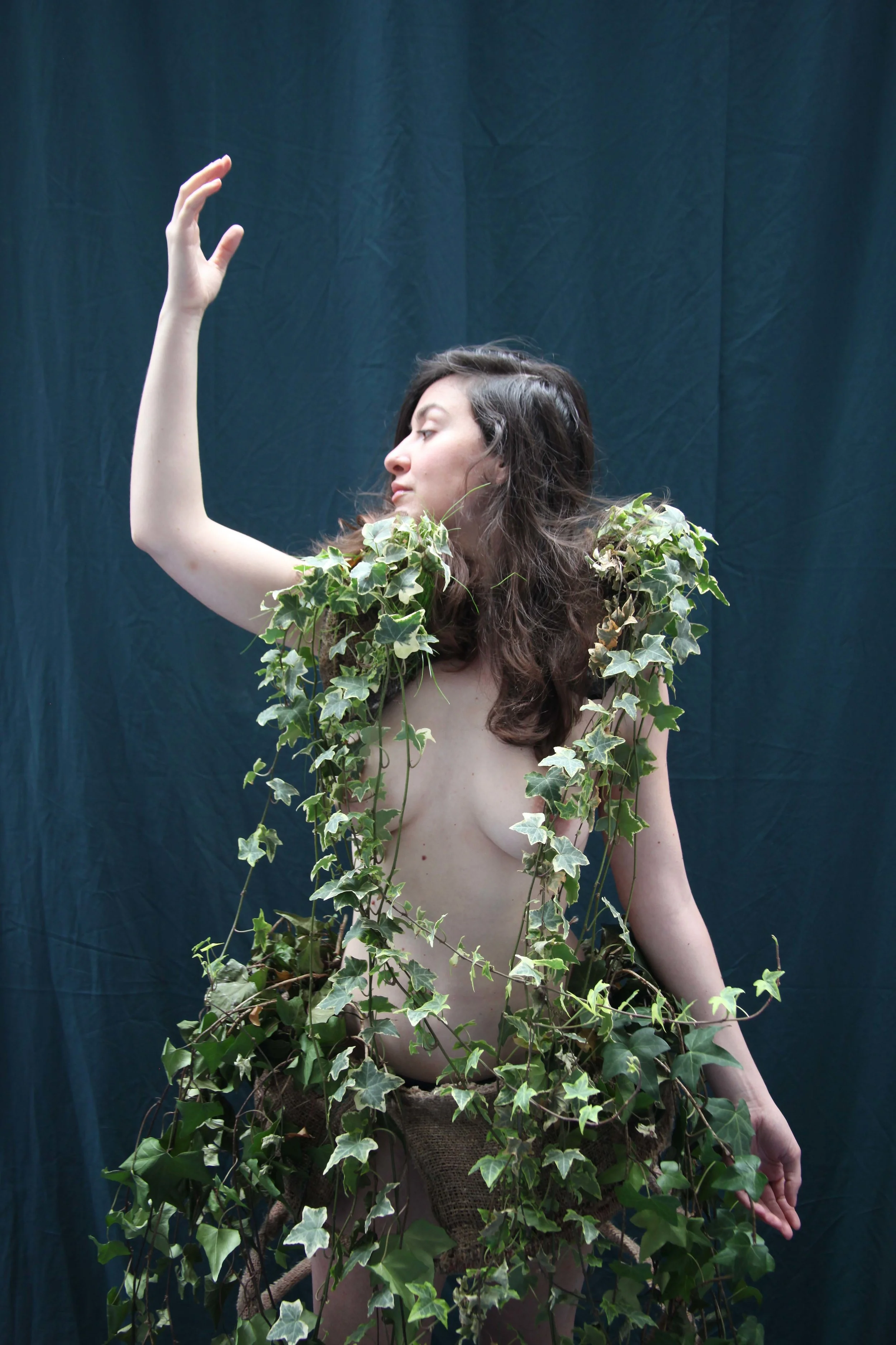 La Phytomorphose (Copy)