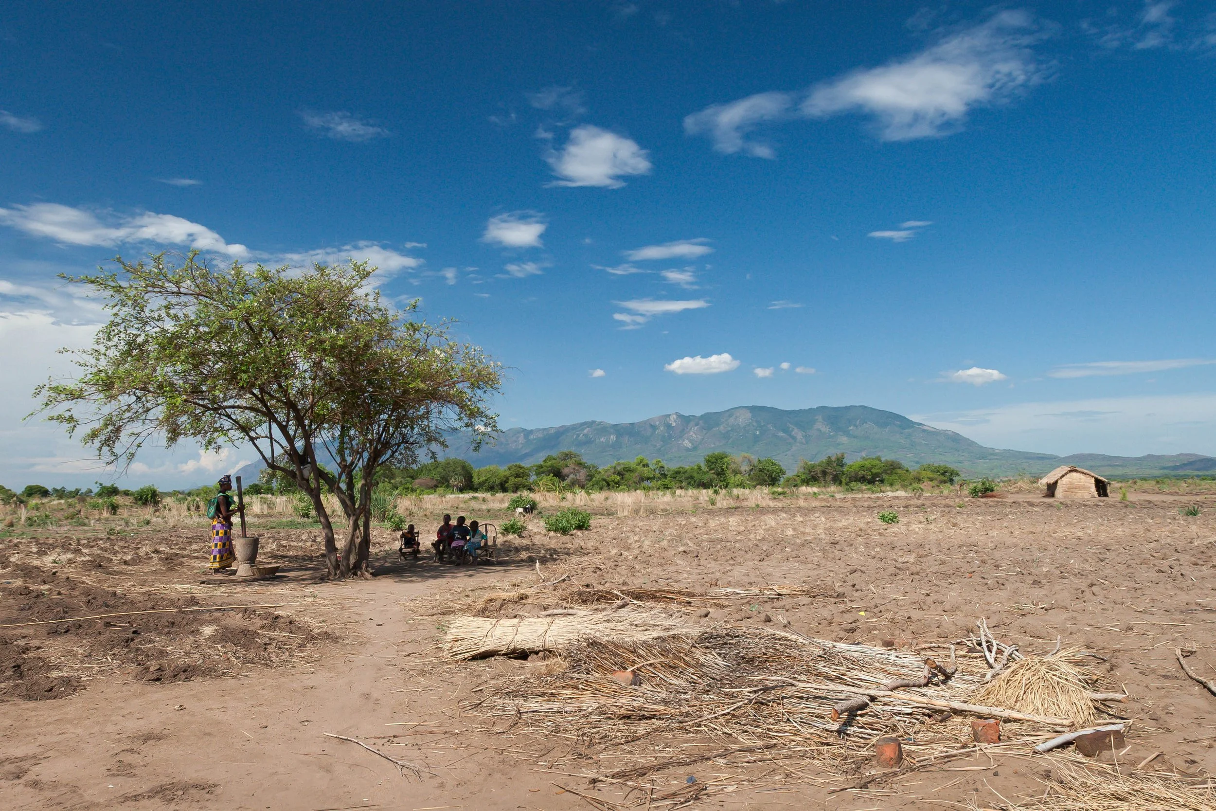 FoodSecurity-1.jpg
