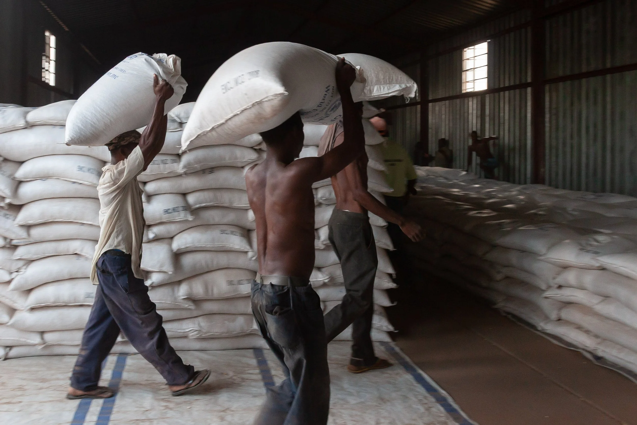 FoodSecurity-8.jpg
