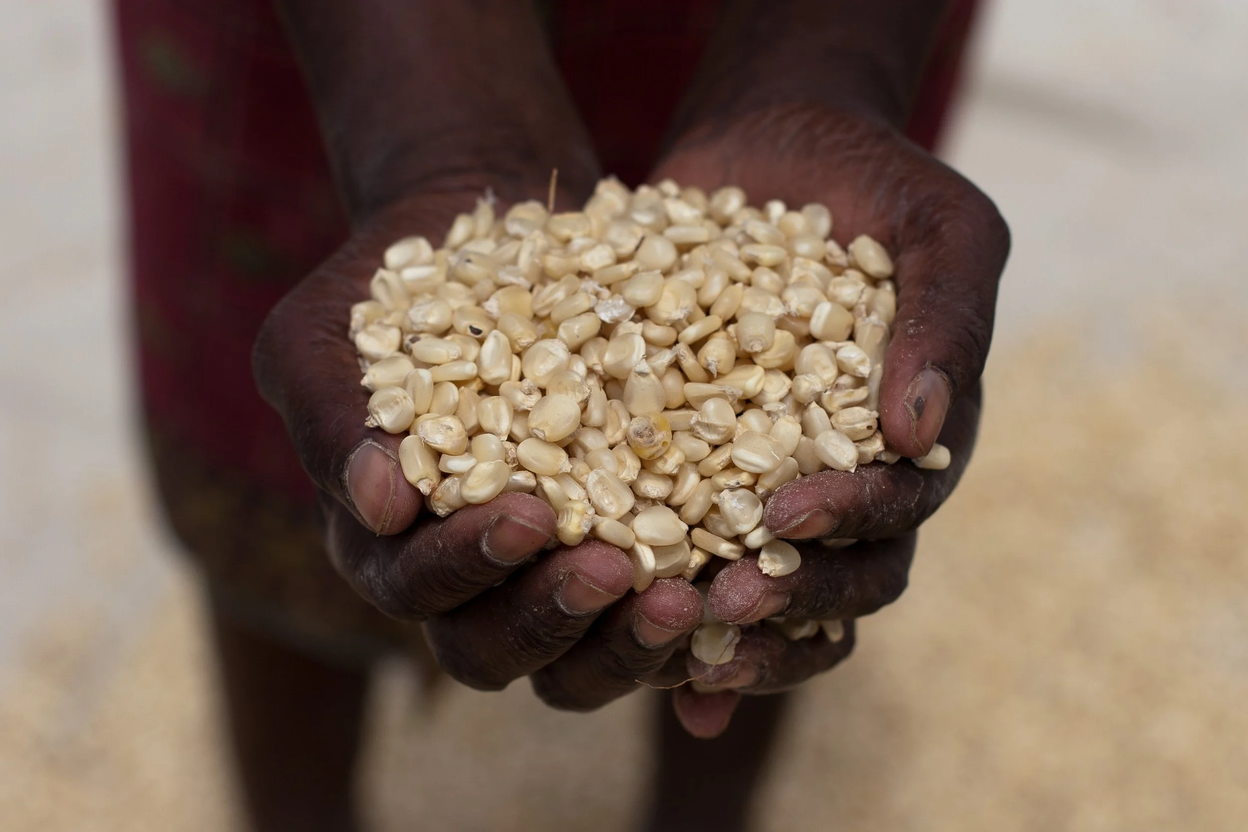 FoodSecurity-11.jpg