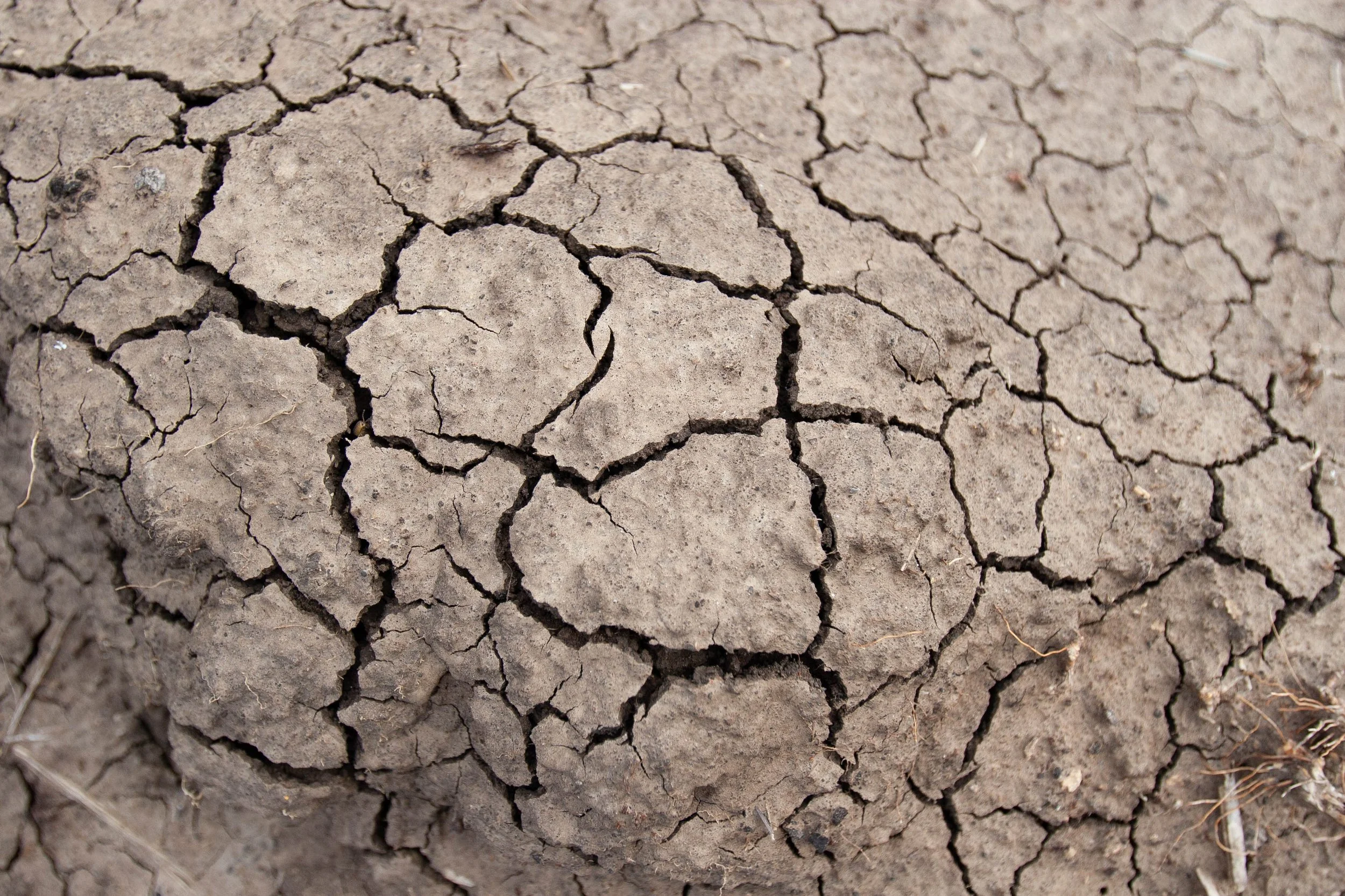 FoodSecurity-14.jpg