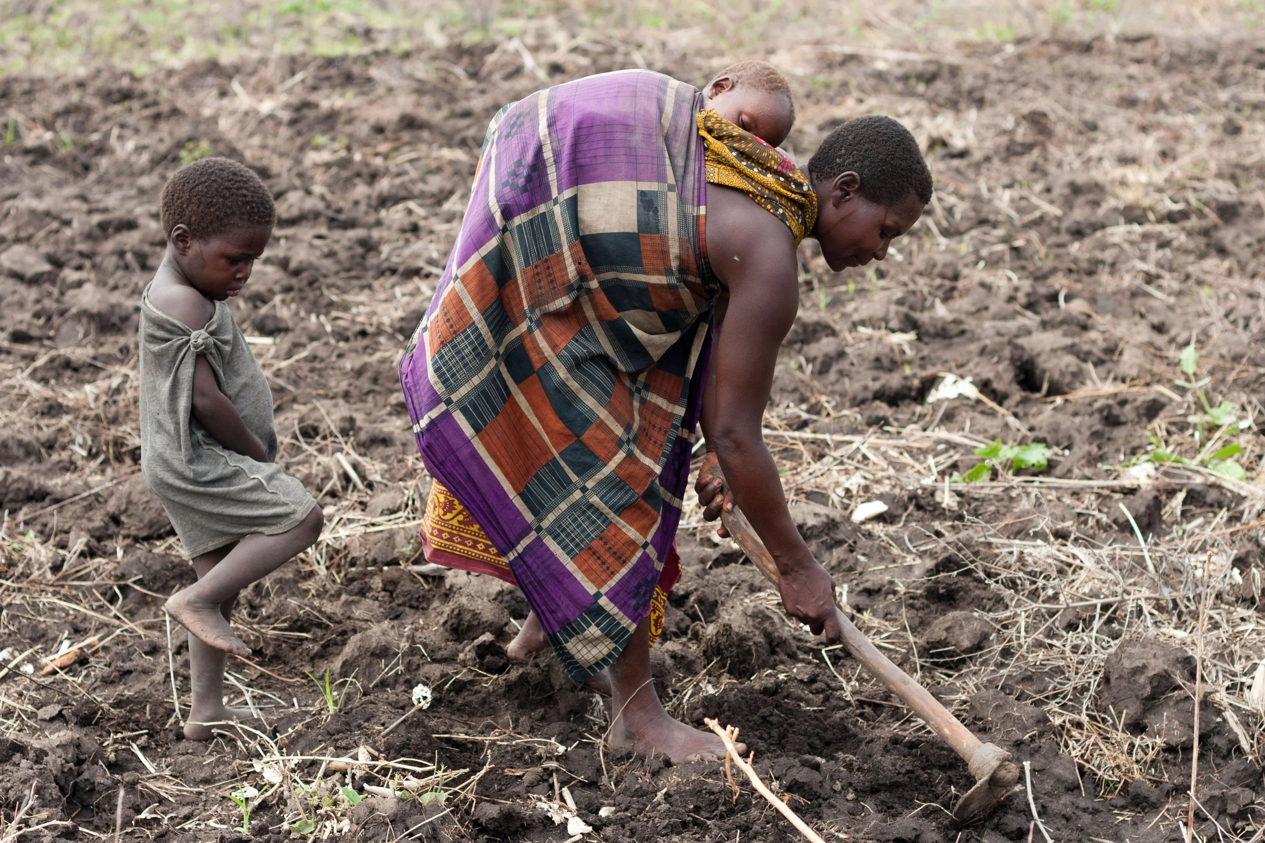 FoodSecurity-17.jpg