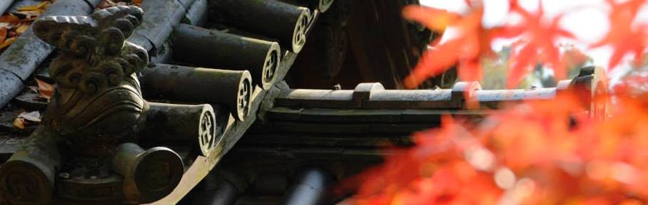 A traditional roof line with autumn leaves