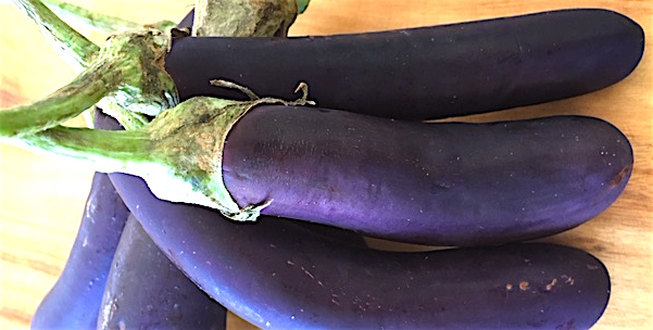 regular globular eggplant are also fine to use, just cut into slices then pie-shaped pieces so there is skin on all pieces