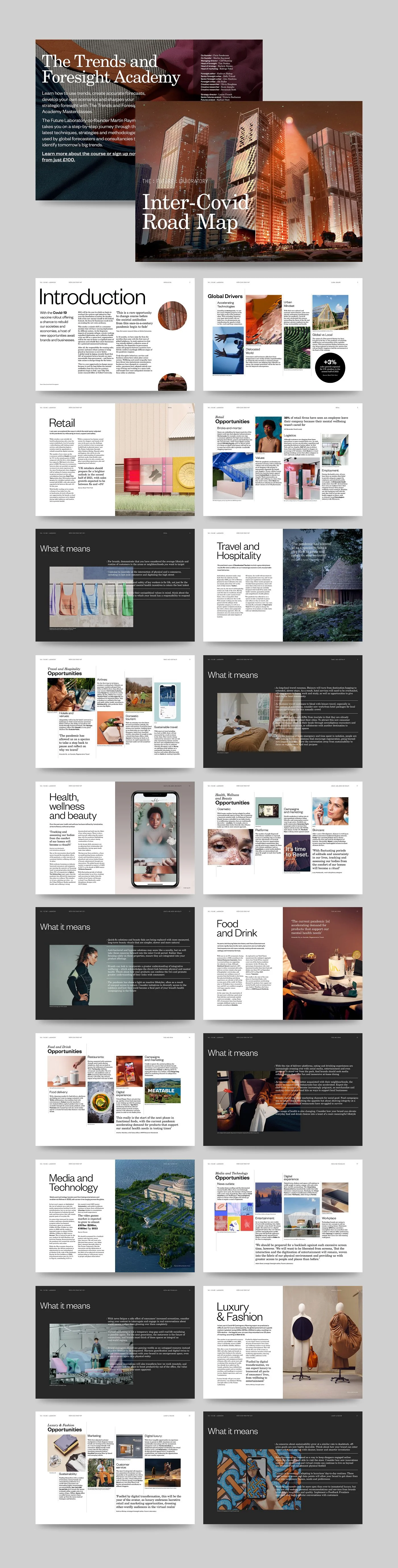 The Future Labs_long.jpg