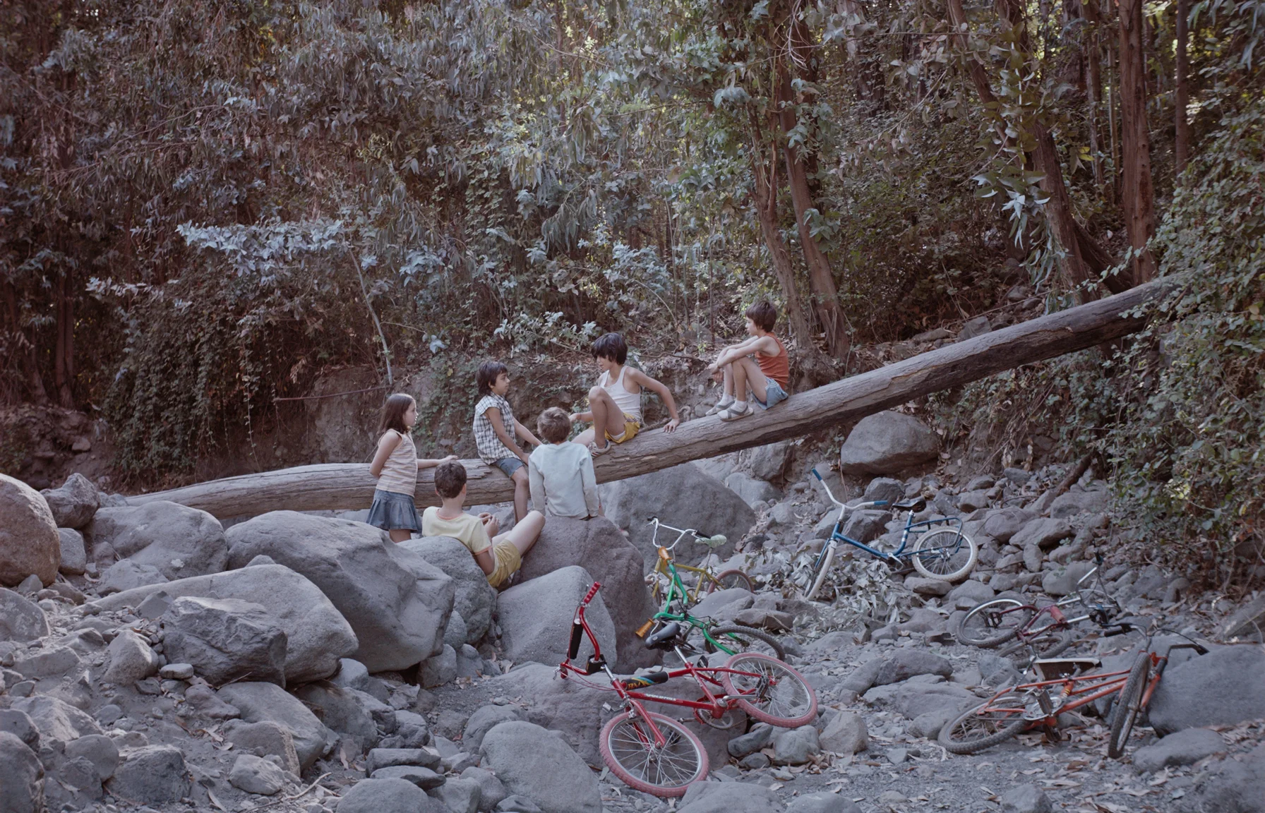 Chilean children in the summer of 1990, as envisioned in Dominga Sotomayor Castillo’s Too Late to Die Young.
