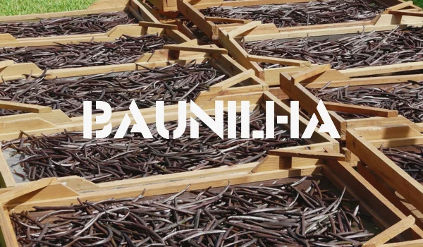 BAUNILHA.jpg