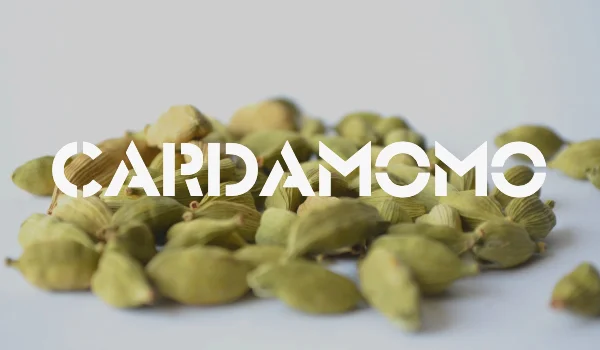 CARDAMOMO.jpg