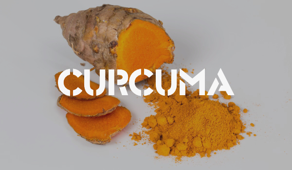 CURCUMA.jpg