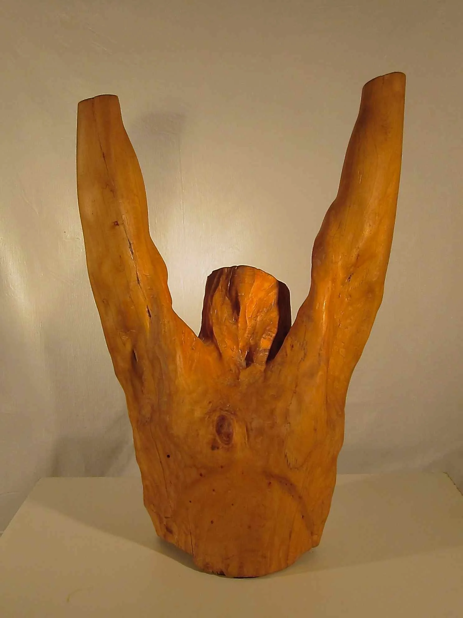 Triumphant Man