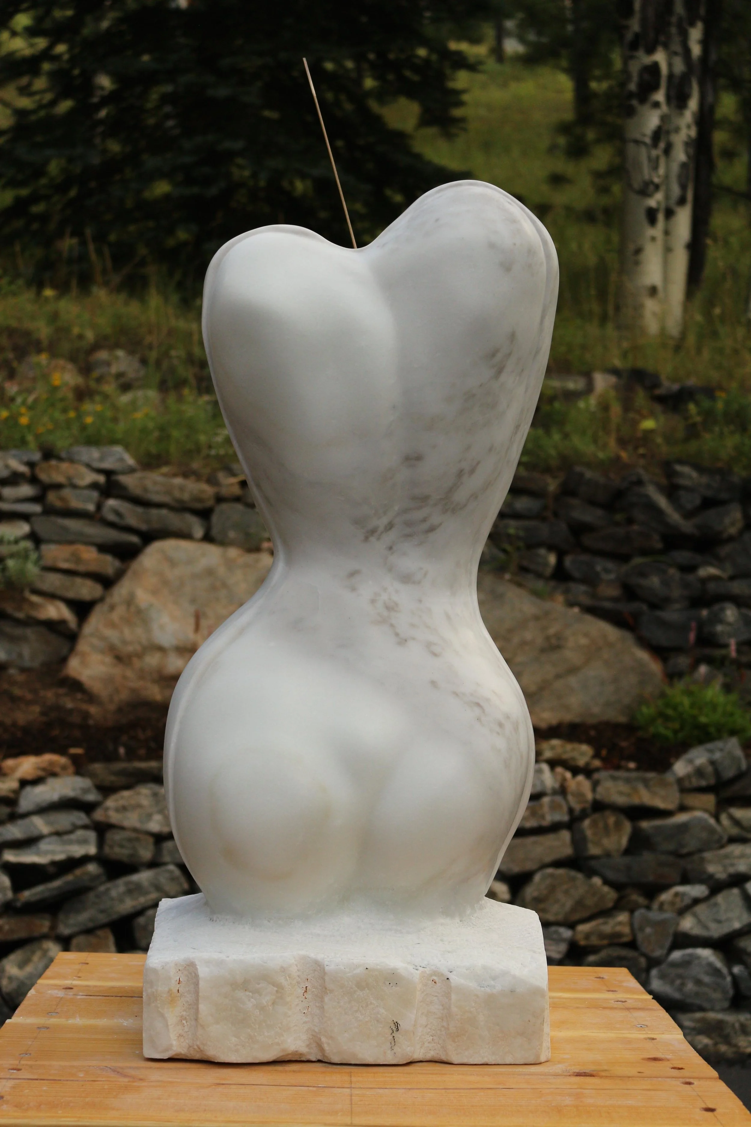 Orchestral Form- Back.jpg