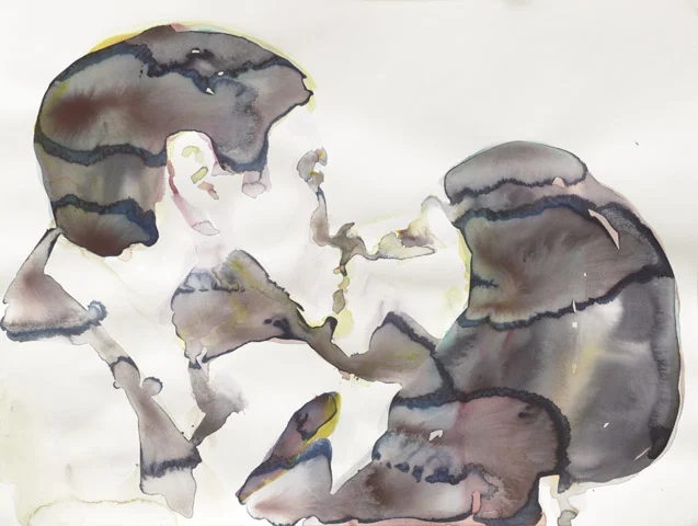 Die Pheromone entscheiden | Aquarell auf Papier | 46 x 61 cm