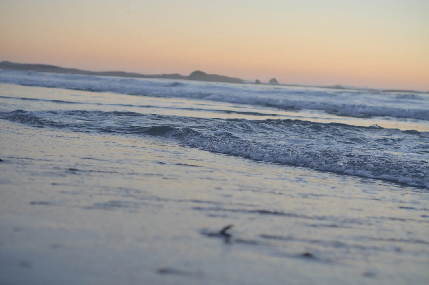 DSC_9849.jpg