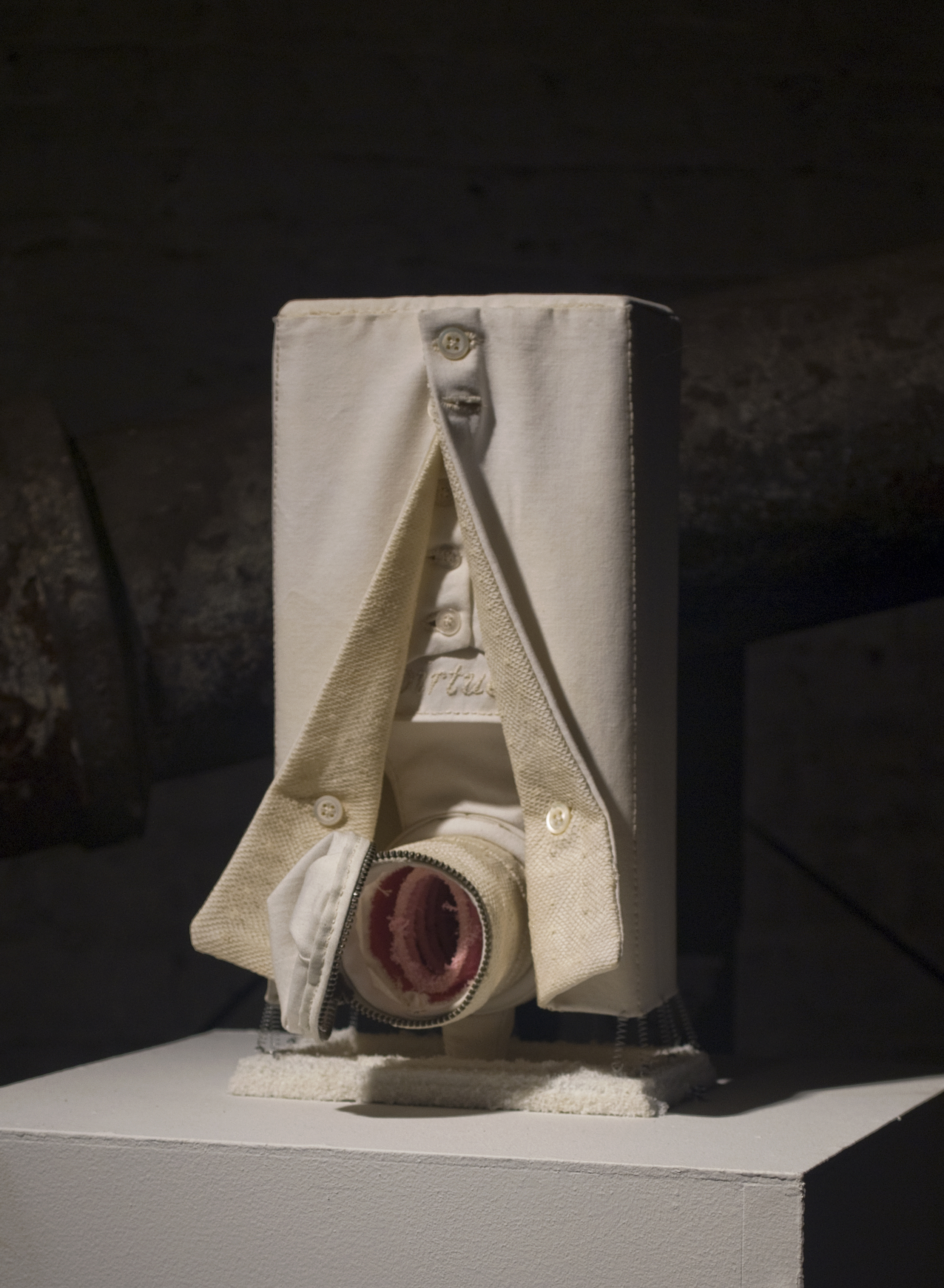 dan Waller "temptation five", 2011, cloth, plastic, metal, cardboard, stuffing, 11 x 5 x 5 inches