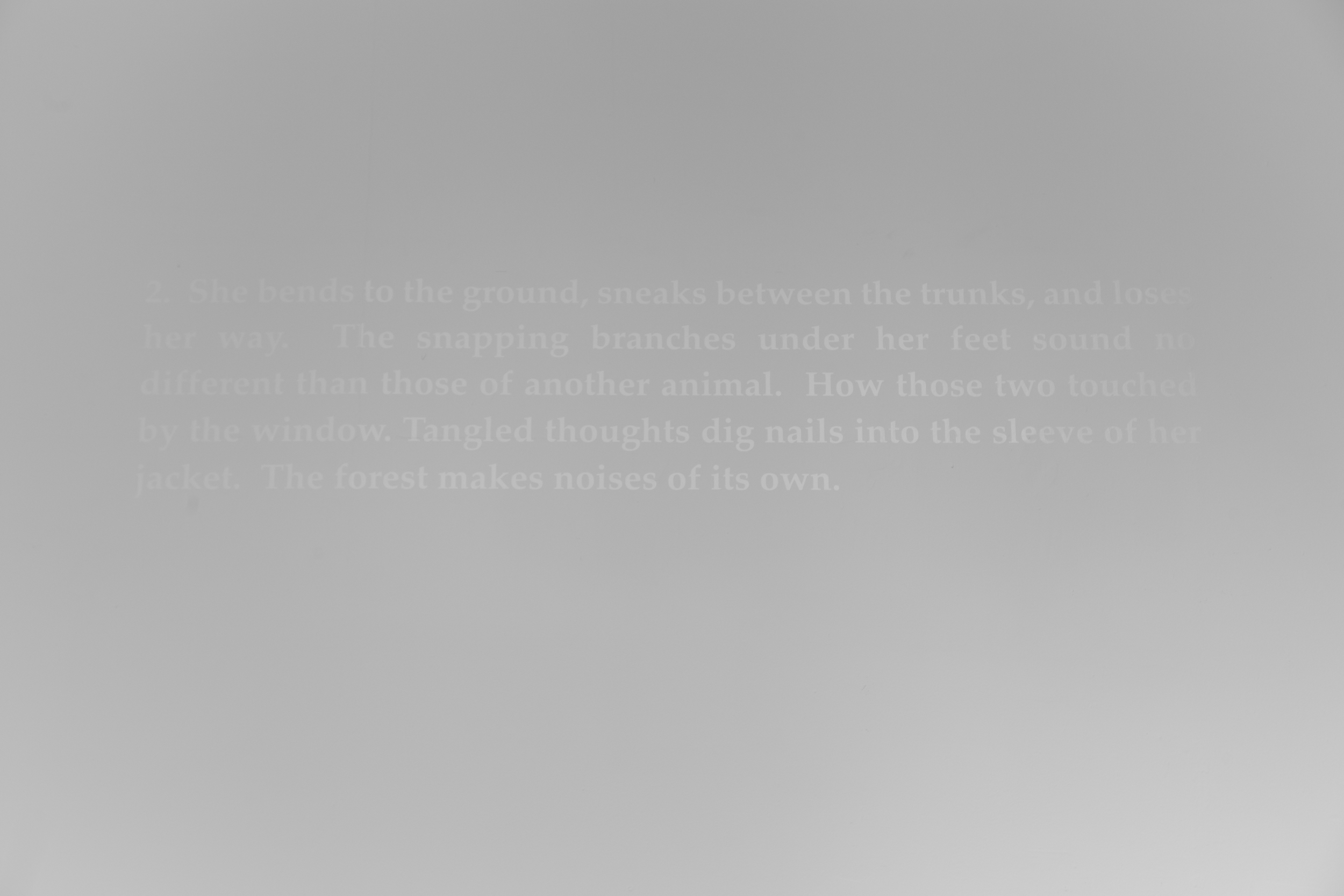 2. She bends to the ground, sneaks between the trunks, and loses her way. The snapping branches under her feet sound no different than those of another animal. How those two touched by the window. Tangled thoughts dig nails into the sleeve of her ja
