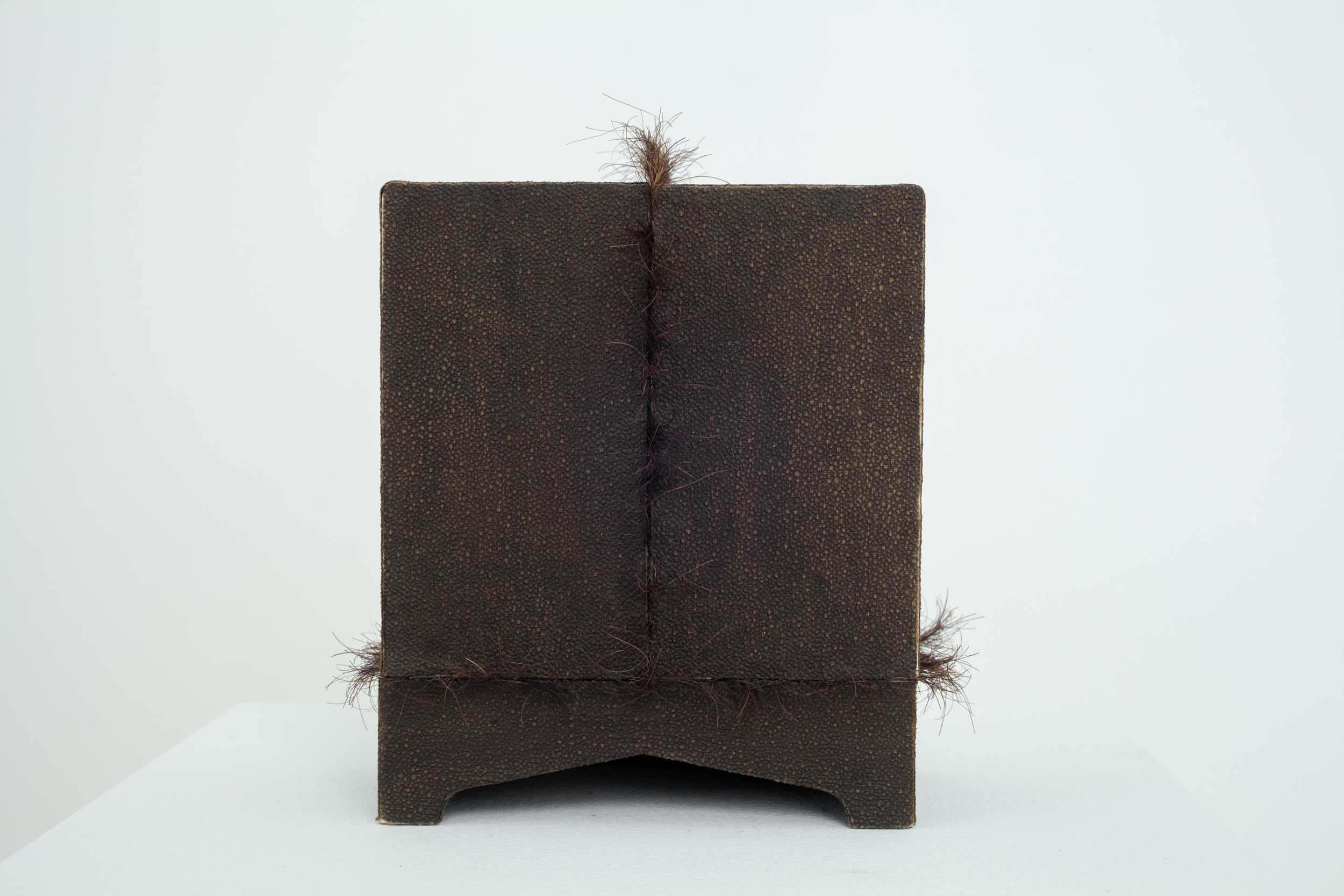 dan Waller shame five (verso) 2014-2015 4 1/2" x 5 1/4" x 2 3/4" cardboard; coated paper, old book paper, rusted metal, silk stocking, wood, cotton thread, thorns and hair