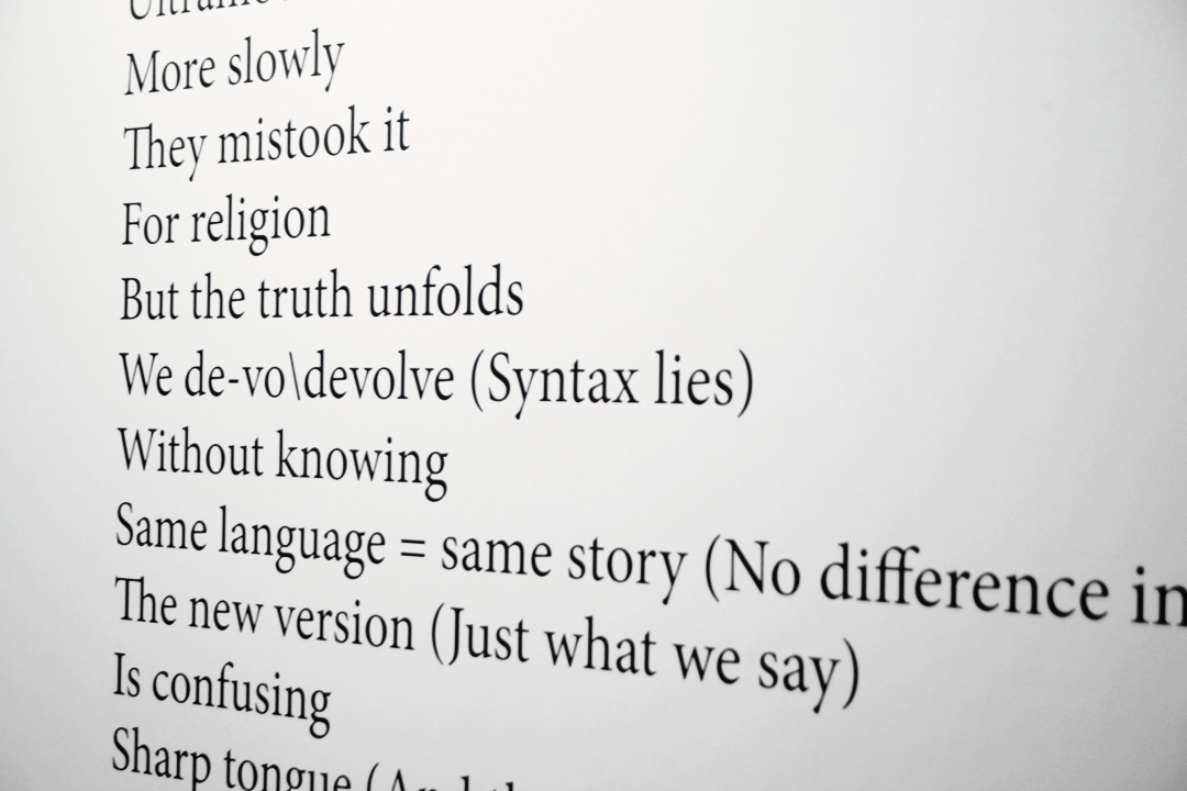 Todd Fink Syntax lies (detail)