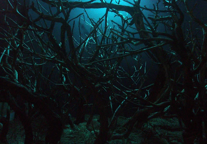 inthetwilight#1 .jpg