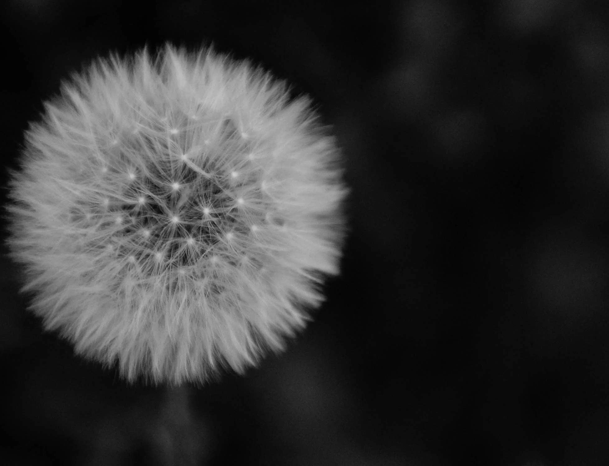 Planet_by_Joyce_Goverde.jpg