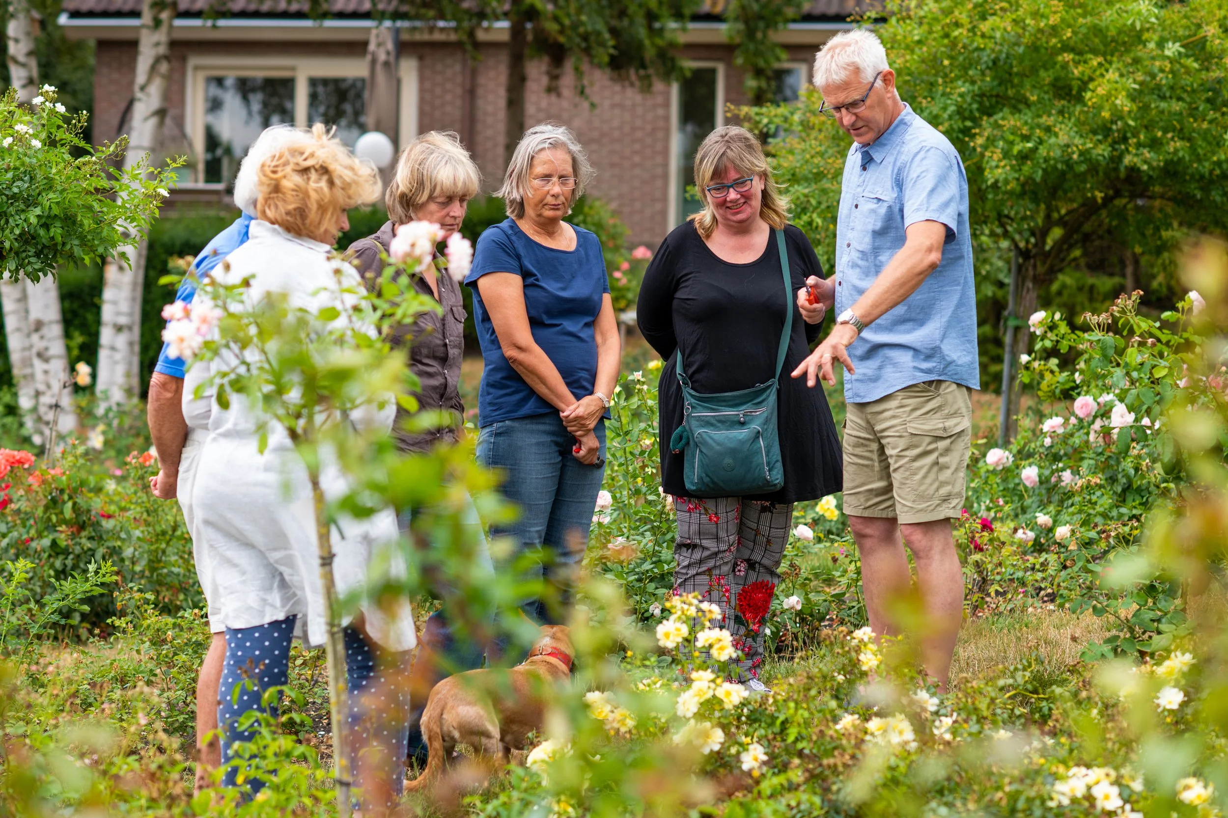 destinatie-marketing-content-fotografie-visit-aalsmeer-fotograaf-joyce-goverde.jpg