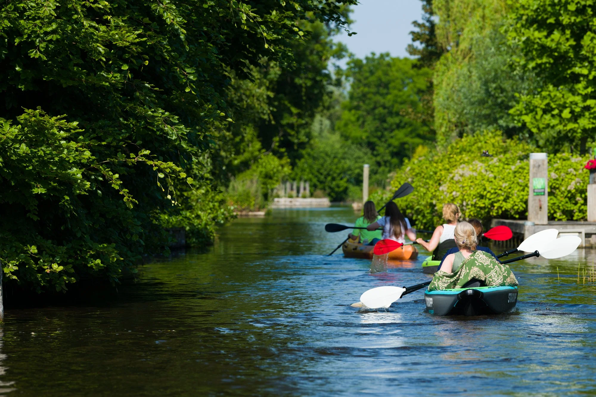 beeldbank-fotografie-visit-aalsmeer-watersportcampagne-surfen-zeilen-joyce-goverde40.jpg