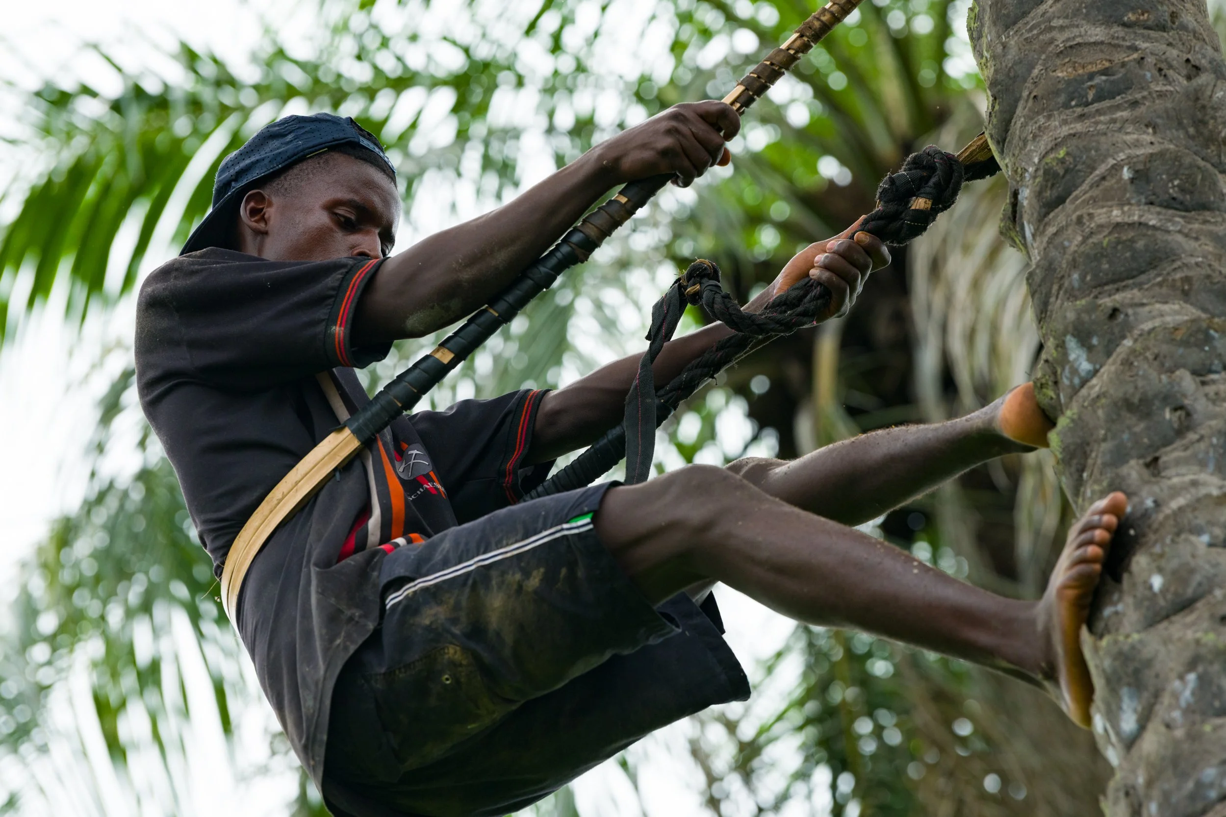 Travel Stories - Gambia-5458.jpg