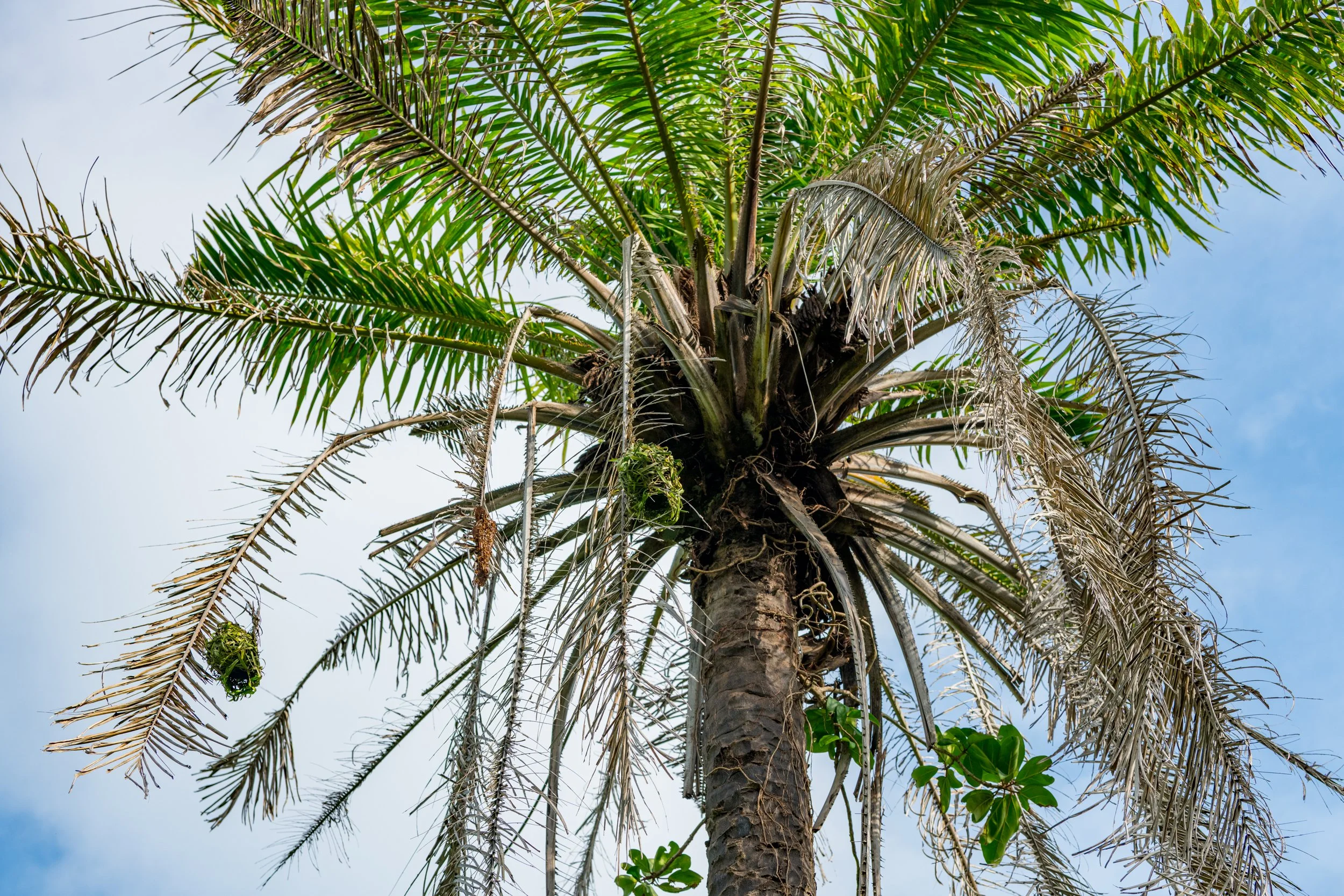 Travel Stories Destination - Gambia-6549.jpg