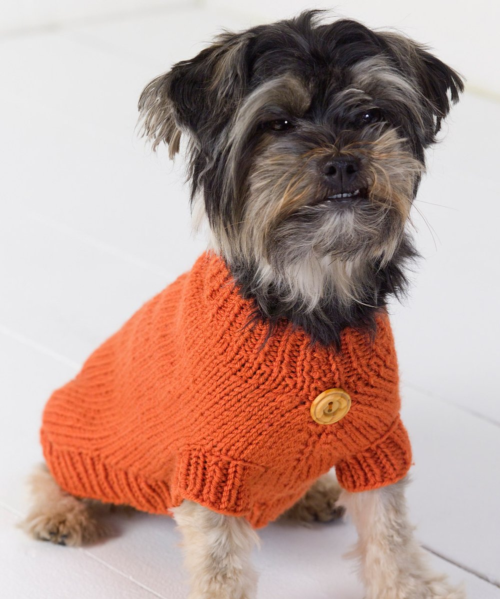 Furry Fashion: 10 Trendy Dog Sweater Knitting Patterns — 