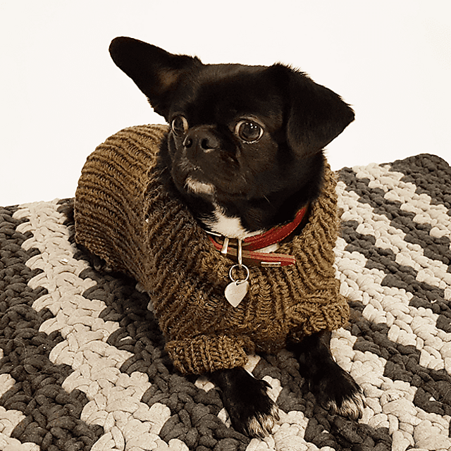  Harness Dog Sweater: Green and Tan Hand-Knit Sweater