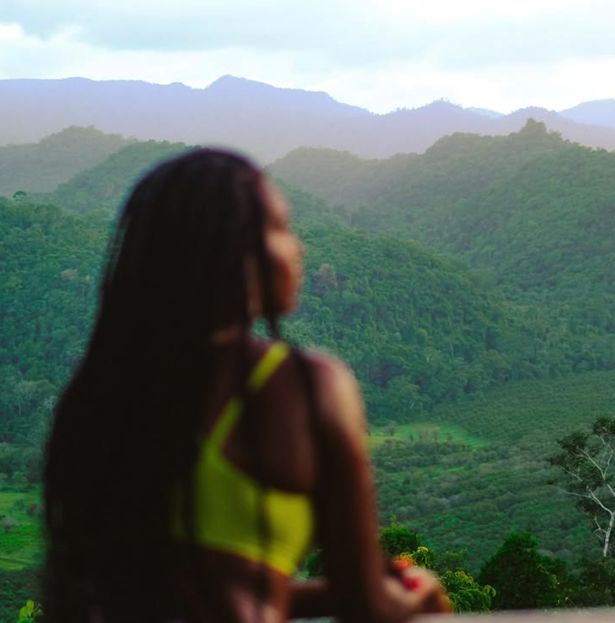 Screen Shot 2025-01-13 at 7.37.24 PM.png