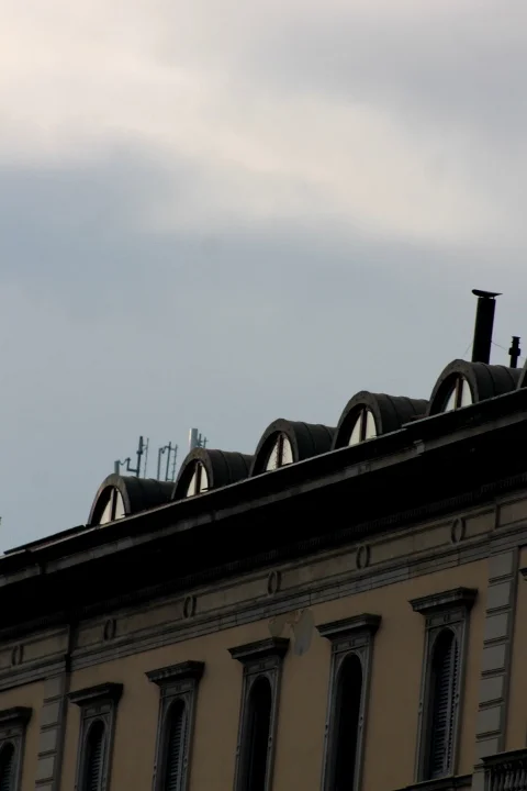 IMG_5173.JPG