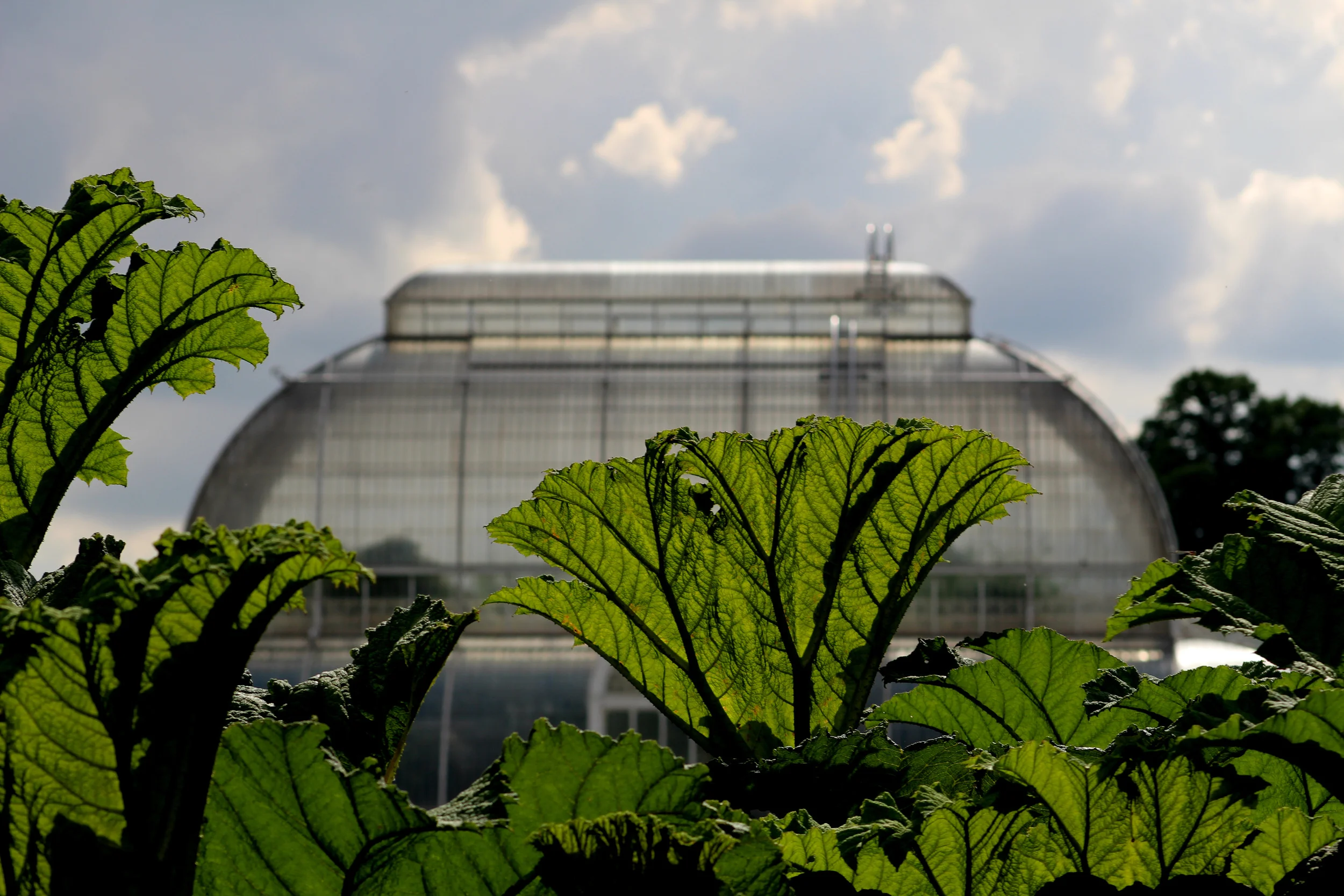 IMG_6900.JPG
