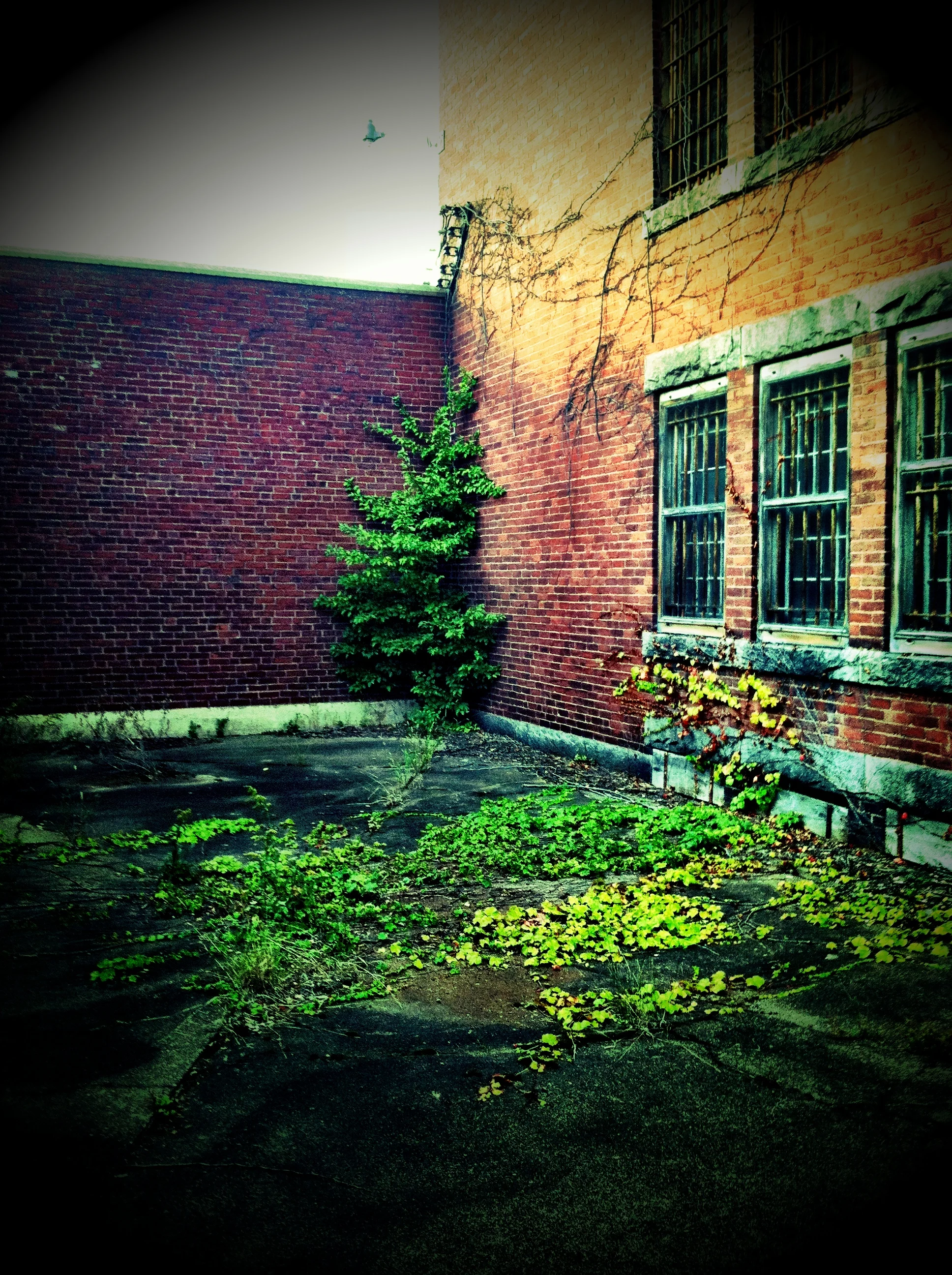 2013-05-17 001 046.JPG